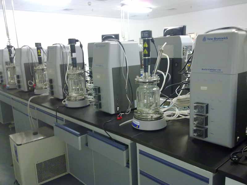 c鿴Ԕ(x)Ϣ(bio)}lab3 xΔ(sh)2146